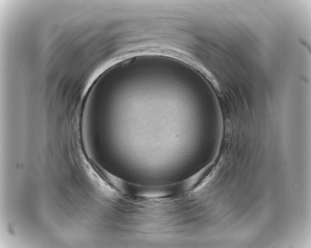 X0000099381530200805081434