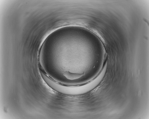 X0000099381532200805081434