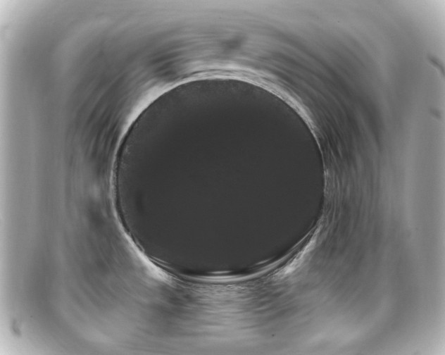 X0000099381533200805081434