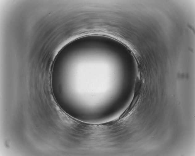 X0000099381534200805081434