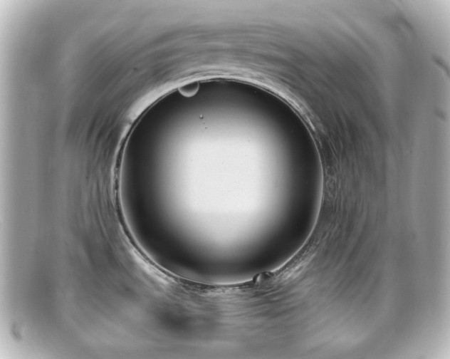 X0000099381535200805081434