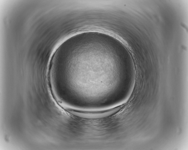 X0000099381536200805081434