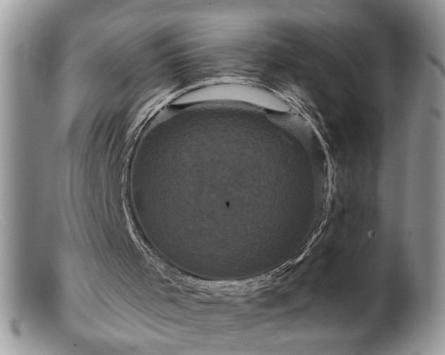 X0000099380001200805151629