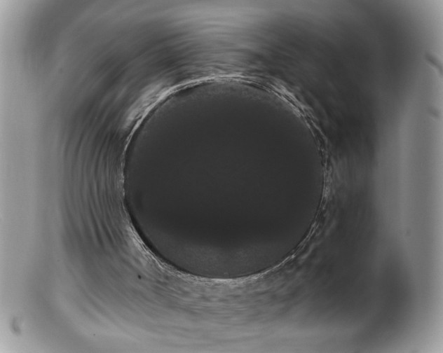 X0000099380002200805151629