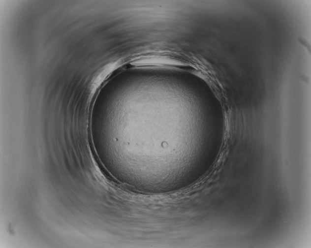 X0000099380003200805151629