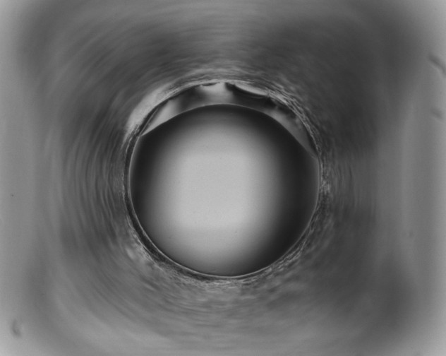 X0000099380004200805151629