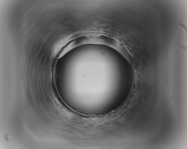 X0000099380005200805151629