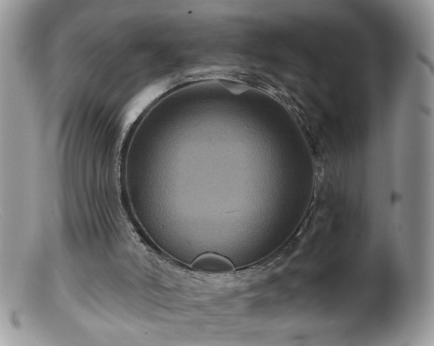 X0000099380006200805151629