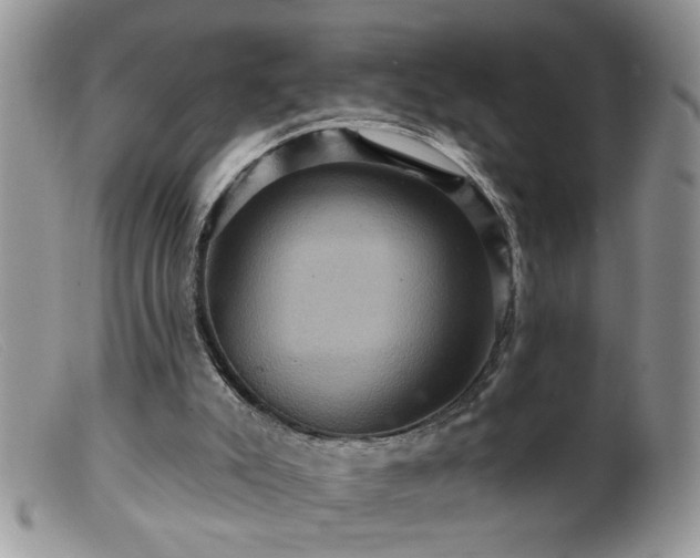 X0000099380007200805151629