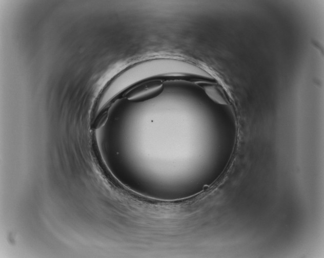 X0000099380008200805151629