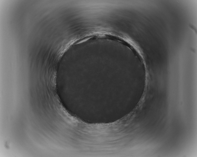 X0000099380009200805151629