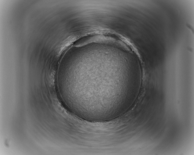 X0000099380010200805151629