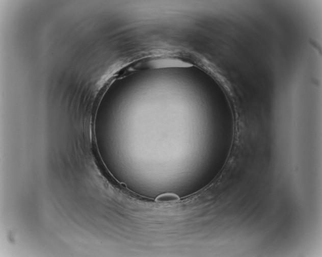 X0000099380011200805151629