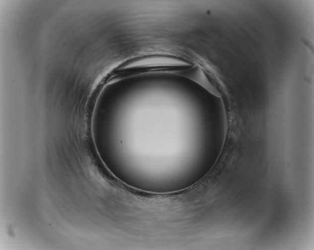 X0000099380012200805151629