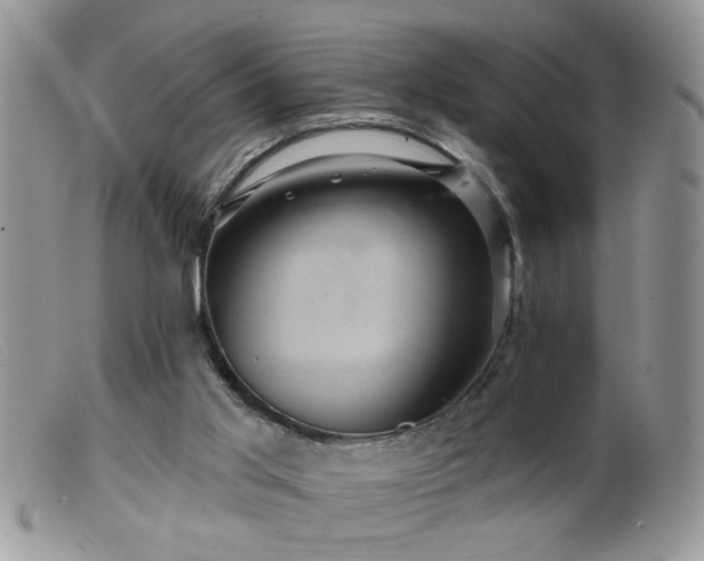 X0000099380013200805151629