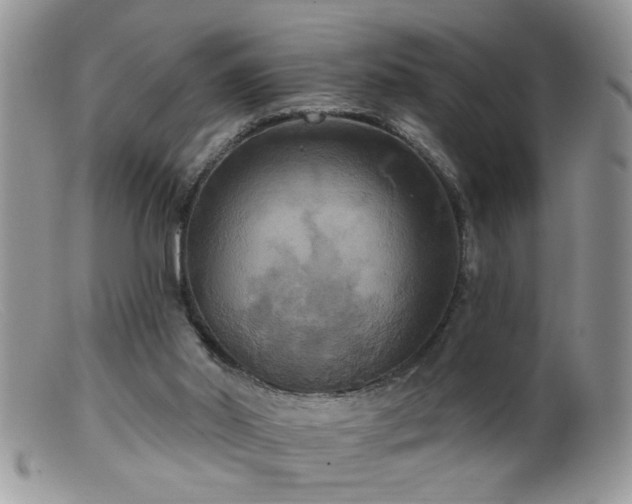 X0000099380014200805151629