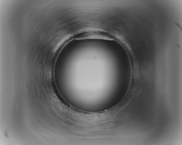 X0000099380015200805151629