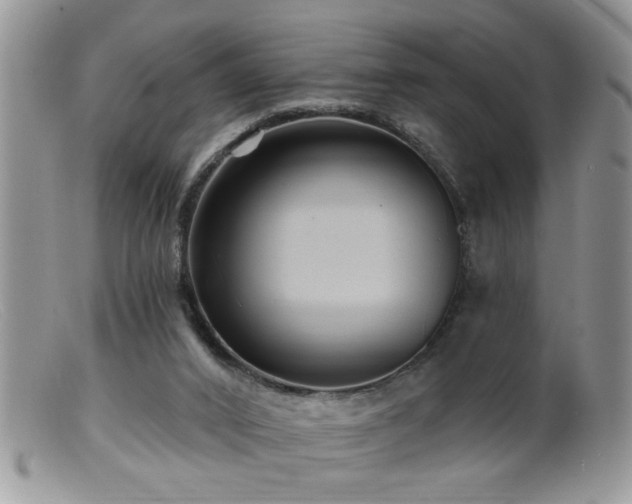 X0000099380016200805151629