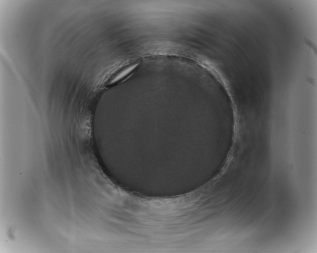 X0000099380017200805151629