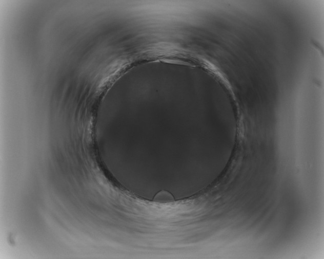 X0000099380018200805151629