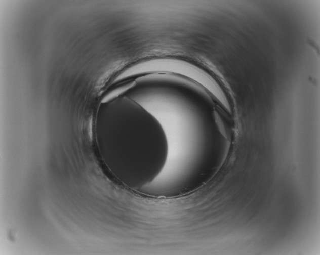 X0000099380019200805151629