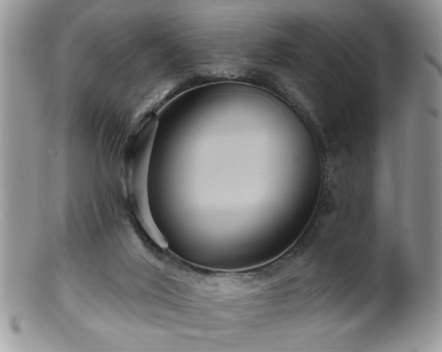 X0000099380020200805151629