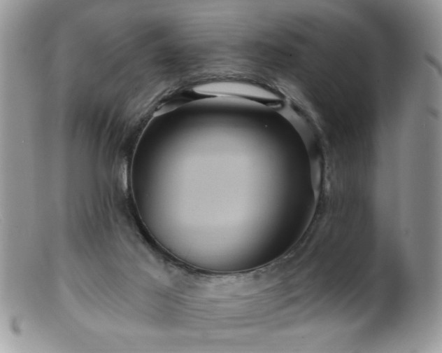 X0000099380021200805151629