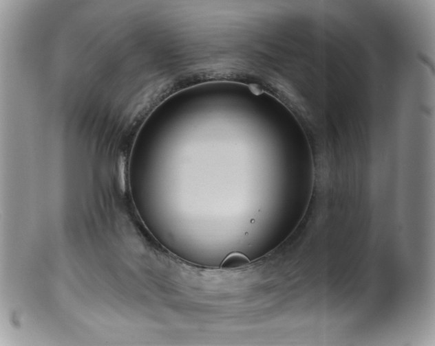 X0000099380022200805151629