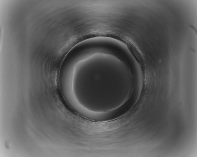 X0000099380023200805151629