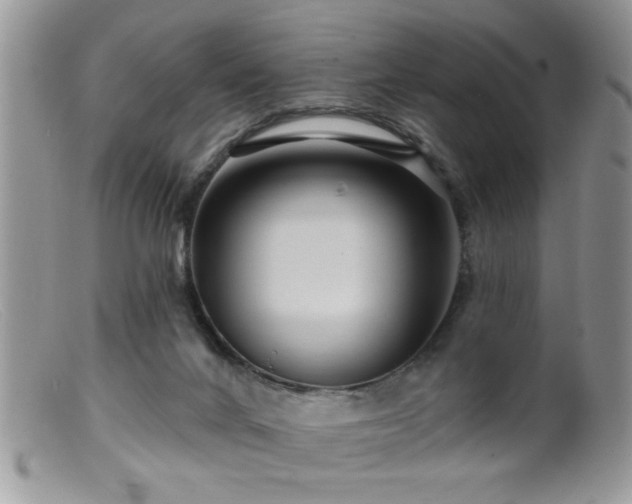 X0000099380024200805151629