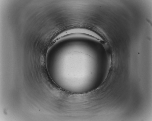 X0000099380025200805151629