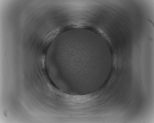 X0000099380026200805151629