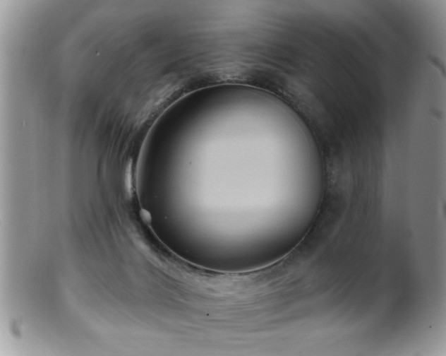 X0000099380028200805151629