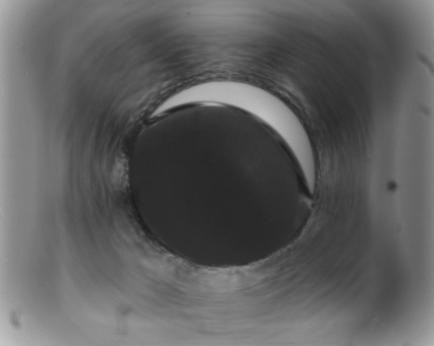 X0000099380029200805151629