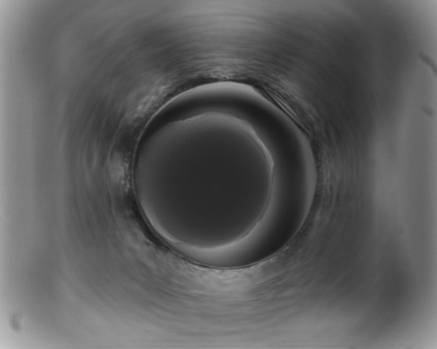 X0000099380031200805151629