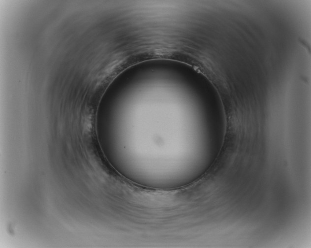 X0000099380032200805151629