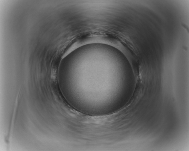 X0000099380033200805151629