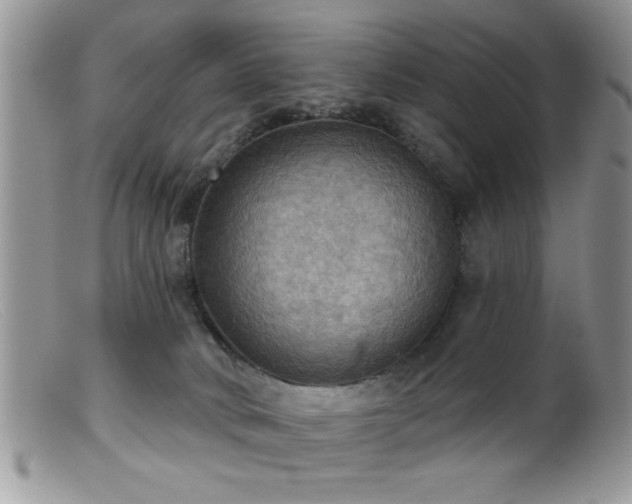 X0000099380034200805151629