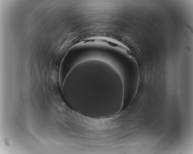 X0000099380035200805151629