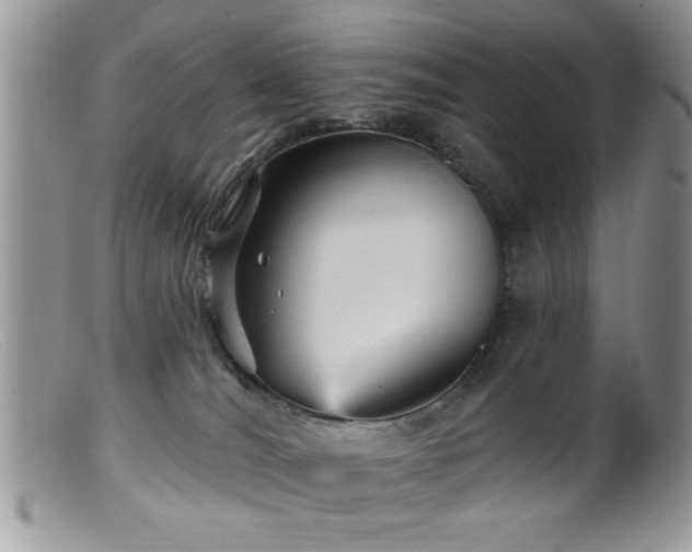 X0000099380036200805151629