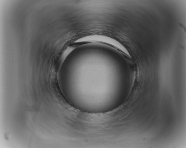 X0000099380037200805151629