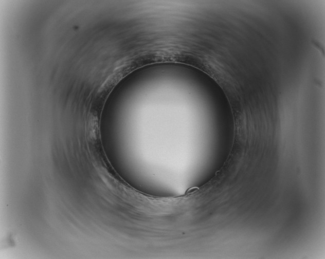 X0000099380038200805151629