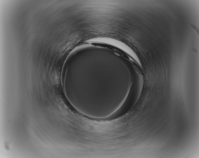 X0000099380039200805151629