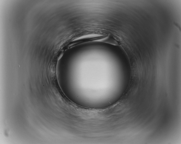 X0000099380040200805151629