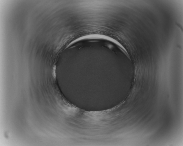 X0000099380041200805151629