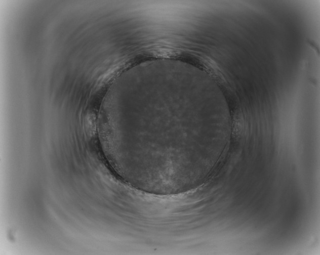 X0000099380043200805151629