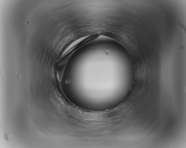 X0000099380044200805151629