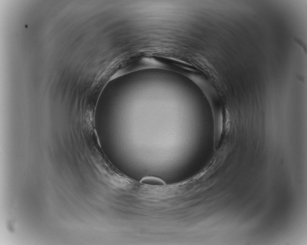 X0000099380045200805151629