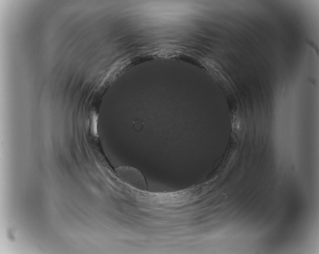 X0000099380046200805151629