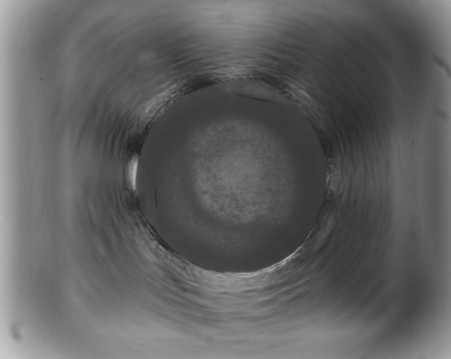 X0000099380047200805151629